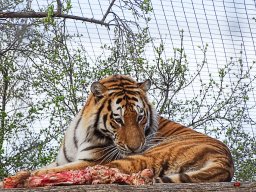 Tiergarten Schönbrunn am 23.03.2023